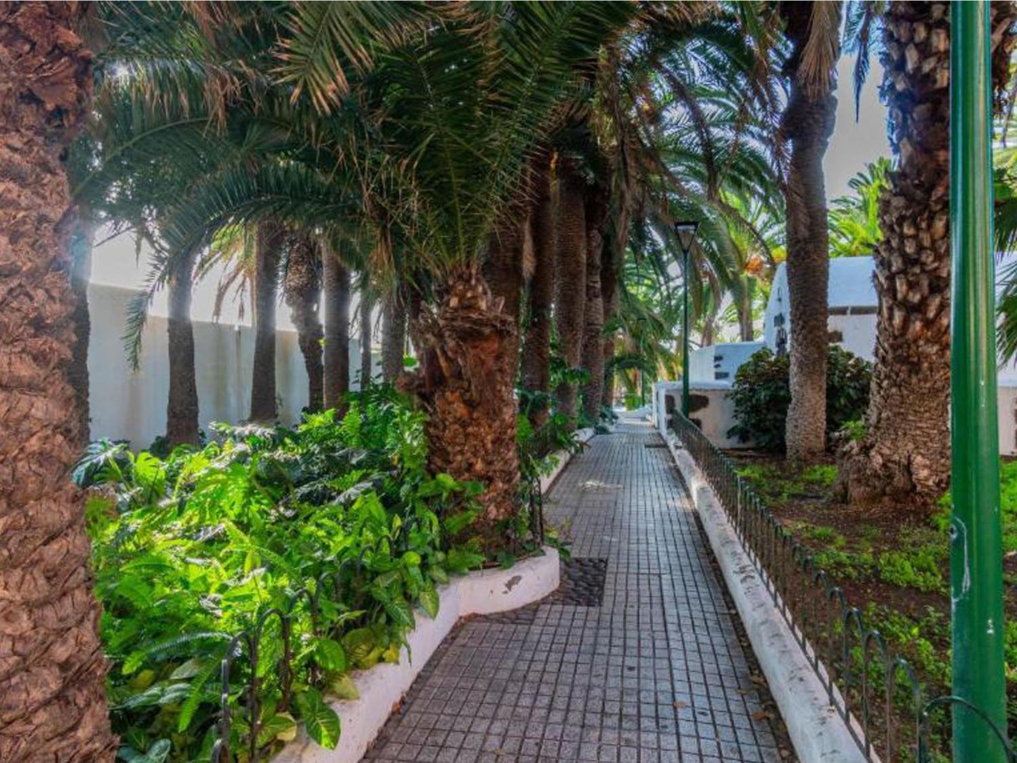 Live Puerto Valle Luz Puerto de la Cruz  Exteriör bild